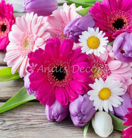 AnaisDecor