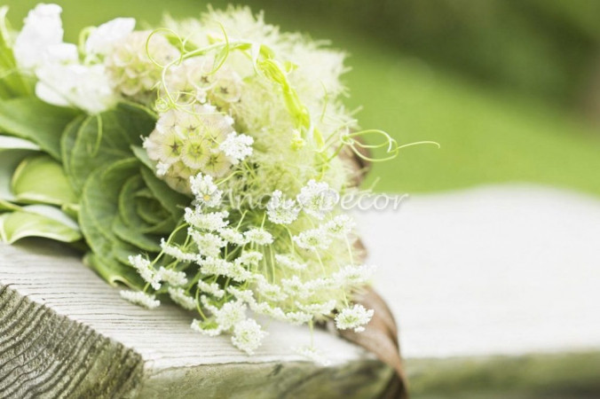 AnaisDecor