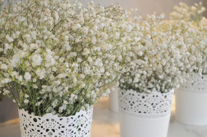 AnaisDecor