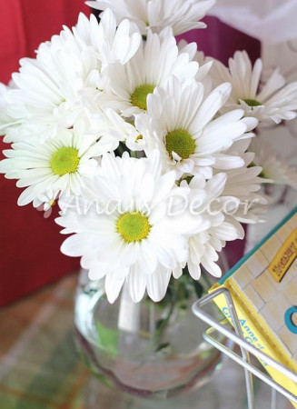 AnaisDecor