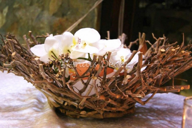 AnaisDecor