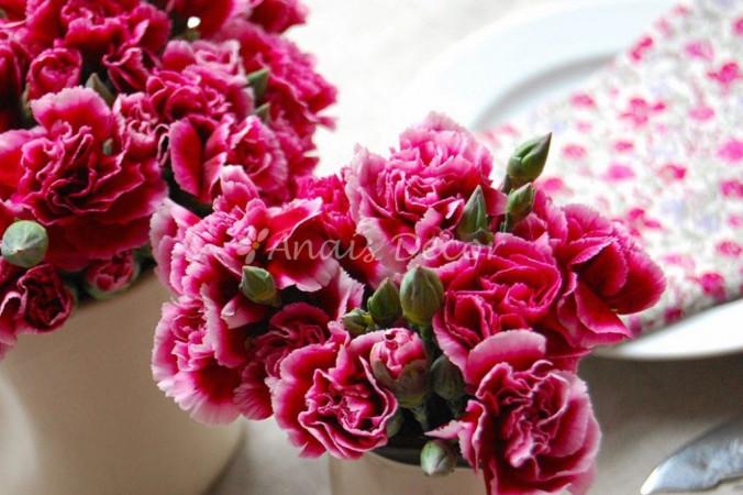 AnaisDecor