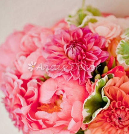 AnaisDecor