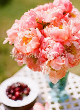 AnaisDecor