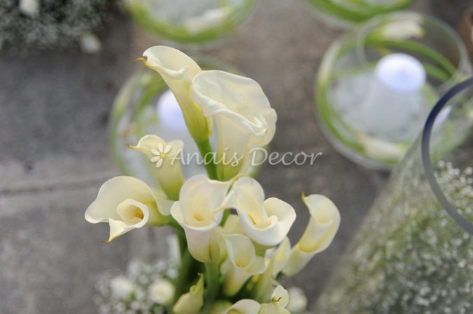 AnaisDecor