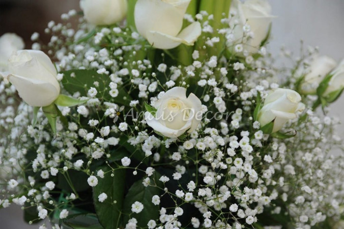 AnaisDecor