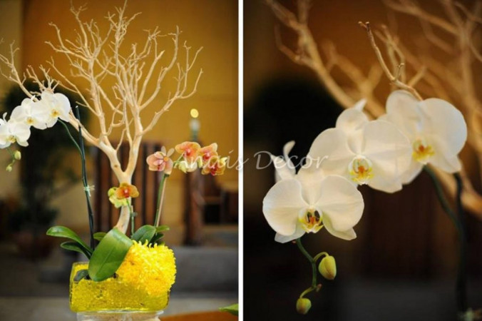 AnaisDecor