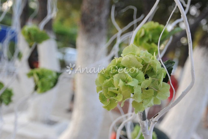 AnaisDecor