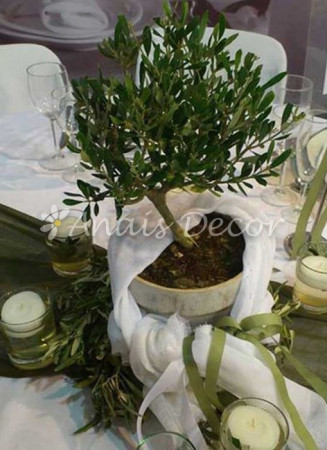 AnaisDecor