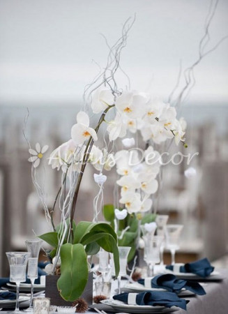 AnaisDecor