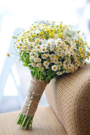 Anais Decor
