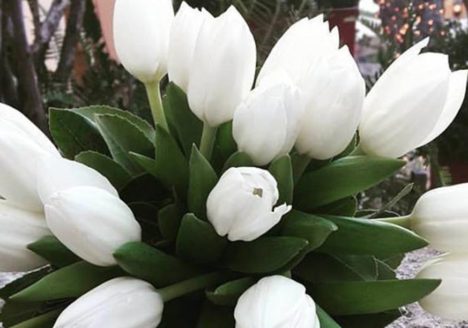 minima romantic